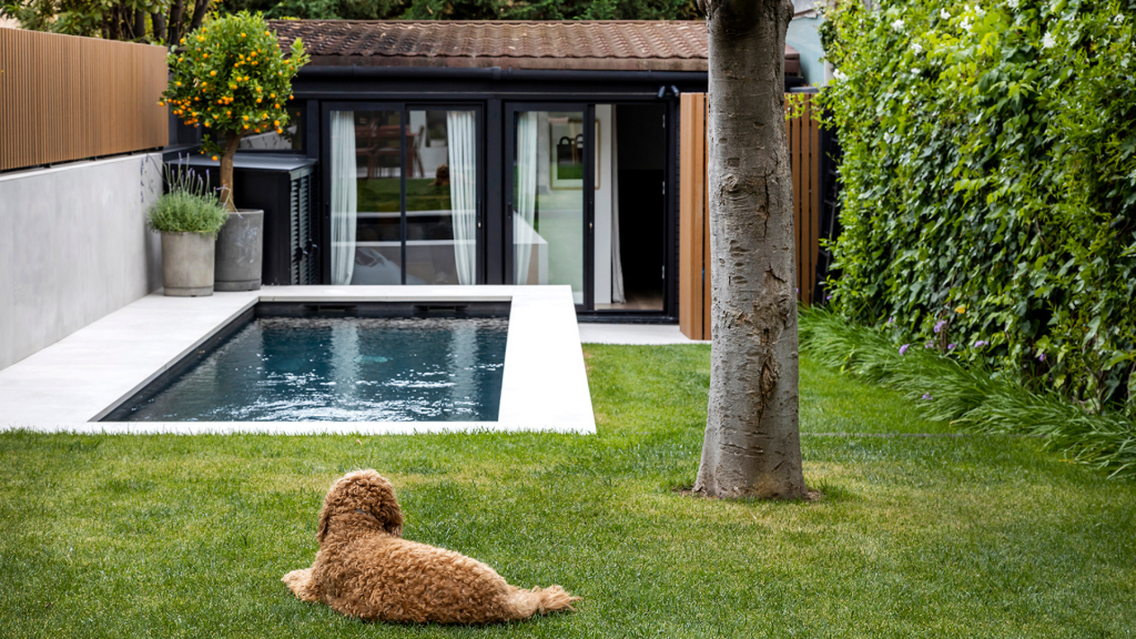Diseño de terrazas y jardines con piscina y barbacoa
