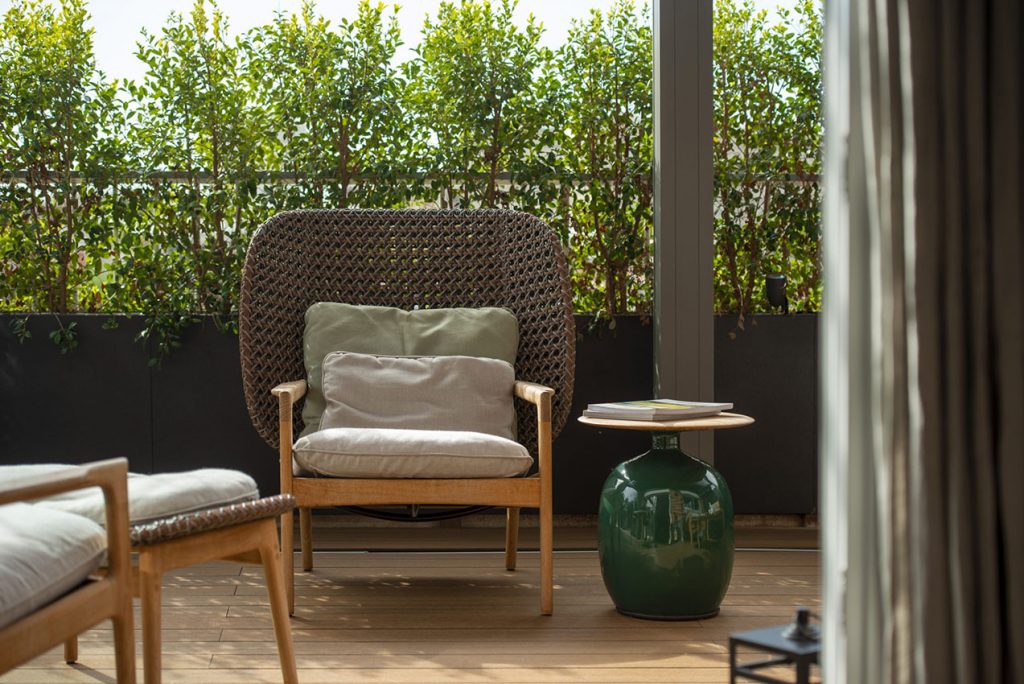 Plantas de invierno exterior