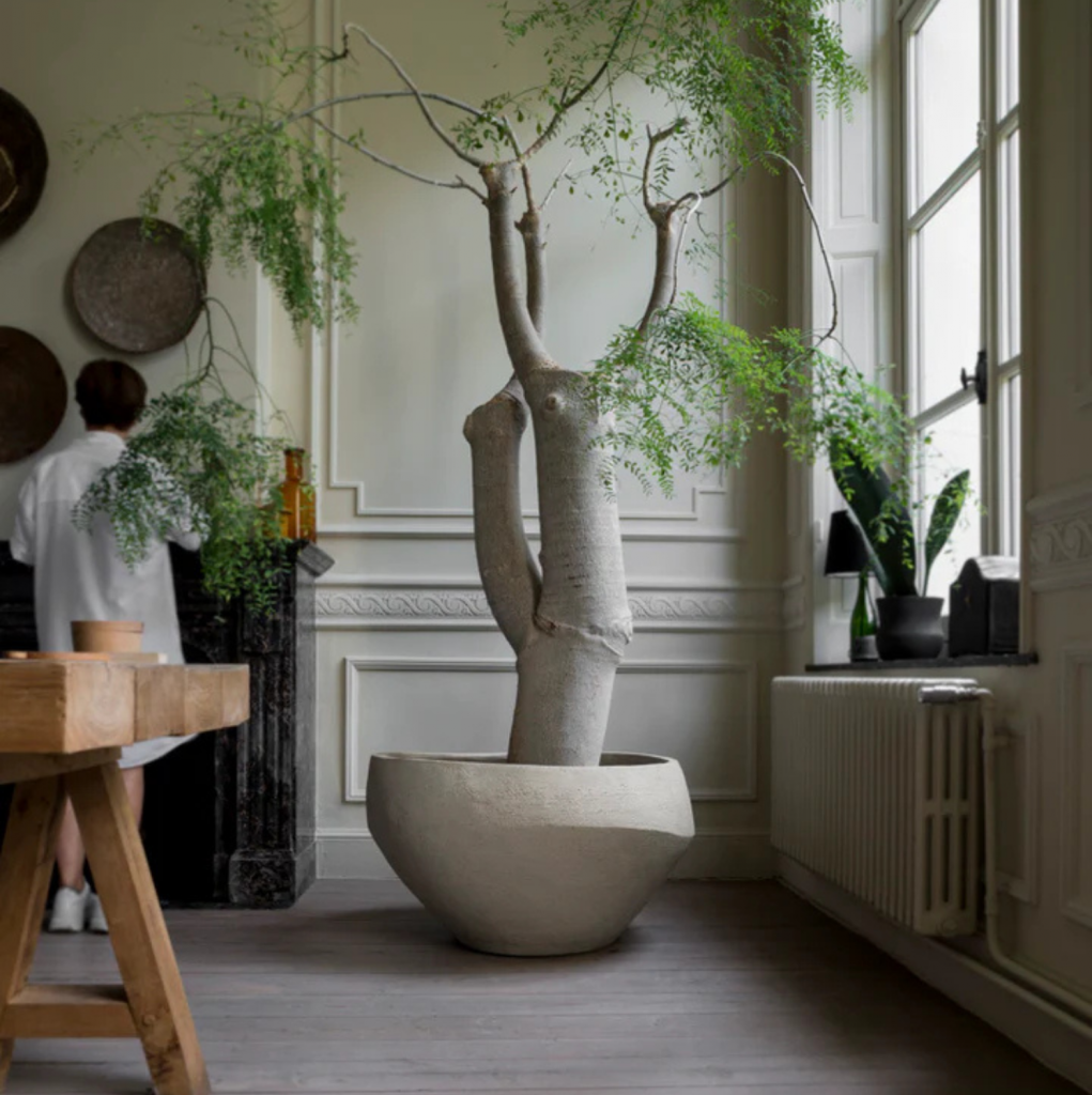 Maceta O Atelier Vierkant